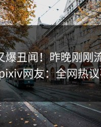 神秘人又爆丑闻！昨晚刚刚流出pzhan，pixiv网友：全网热议不断