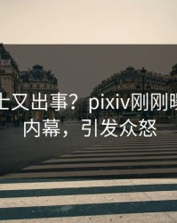 业内人士又出事？pixiv刚刚曝出丑闻内幕，引发众怒