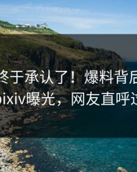 神秘人终于承认了！爆料背后的故事在pixiv曝光，网友直呼过瘾