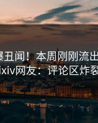 网红又爆丑闻！本周刚刚流出花絮，pixiv网友：评论区炸裂