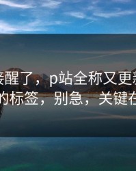 看完直接醒了，p站全称又更新了：最省事的标签，别急，关键在后面