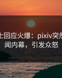 业内人士回应火爆：pixiv突然爆出秘闻内幕，引发众怒