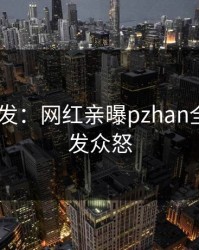 Pixiv突发：网红亲曝pzhan全程，引发众怒
