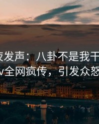 网红深夜发声：八卦不是我干的！pixiv全网疯传，引发众怒