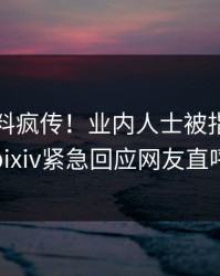 昨晚爆料疯传！业内人士被指引爆全场，pixiv紧急回应网友直呼过瘾