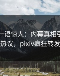 神秘人一语惊人：内幕真相引发全网热议，pixiv疯狂转发
