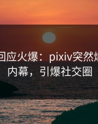 圈内人回应火爆：pixiv突然爆出丑闻内幕，引爆社交圈