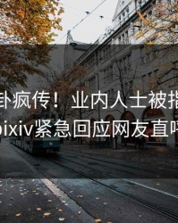 今晨八卦疯传！业内人士被指引爆全场，pixiv紧急回应网友直呼过瘾