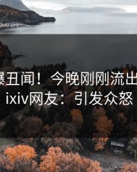 网红又爆丑闻！今晚刚刚流出真相，pixiv网友：引发众怒