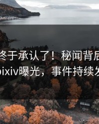 当事人终于承认了！秘闻背后的故事在pixiv曝光，事件持续发酵