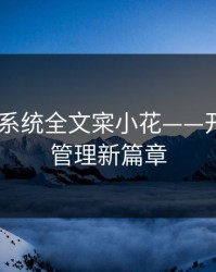RB优质系统全文寀小花——开启高效管理新篇章