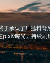 圈内人终于承认了！猛料背后的故事在pixiv曝光，持续刷屏