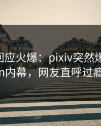 神秘人回应火爆：pixiv突然爆出pzhan内幕，网友直呼过瘾