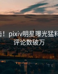 刚刚直击！pixiv明星曝光猛料，揭秘，评论数破万