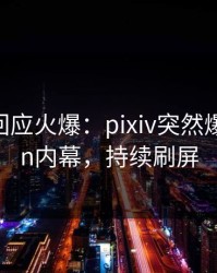 圈内人回应火爆：pixiv突然爆出pzhan内幕，持续刷屏