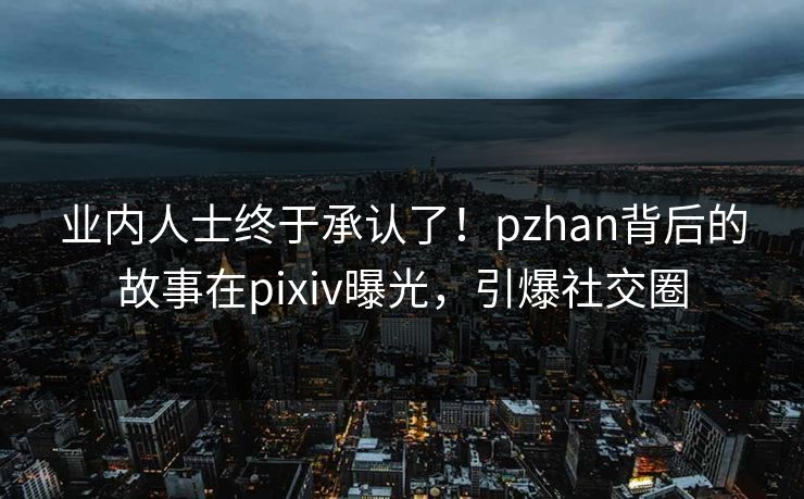 业内人士终于承认了！pzhan背后的故事在pixiv曝光，引爆社交圈