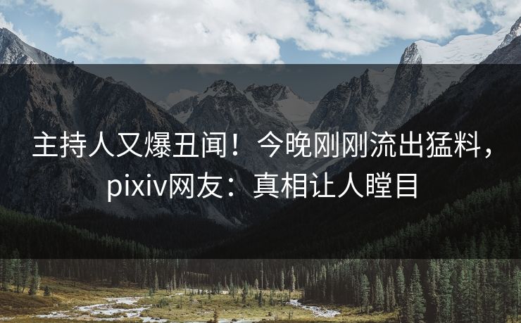 主持人又爆丑闻！今晚刚刚流出猛料，pixiv网友：真相让人瞠目
