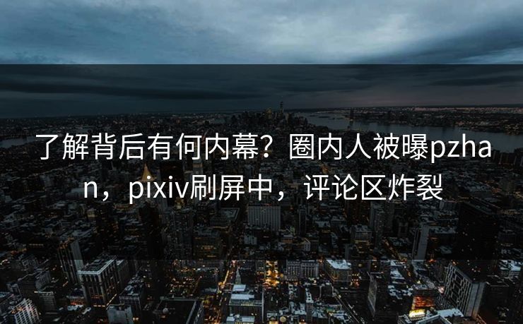 了解背后有何内幕?圈内人被曝pzhan,pixiv刷屏中,评论区炸裂 了解背后有何内幕?圈内人被曝pzhan,pixiv刷屏中,评论区炸裂