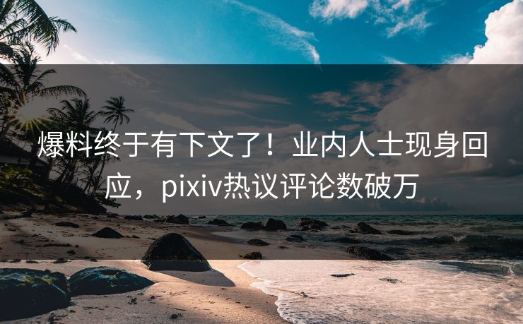 爆料终于有下文了!业内人士现身回应,pixiv热议评论数破万 爆料终于有下文了!业内人士现身回应,pixiv热议评论数破万