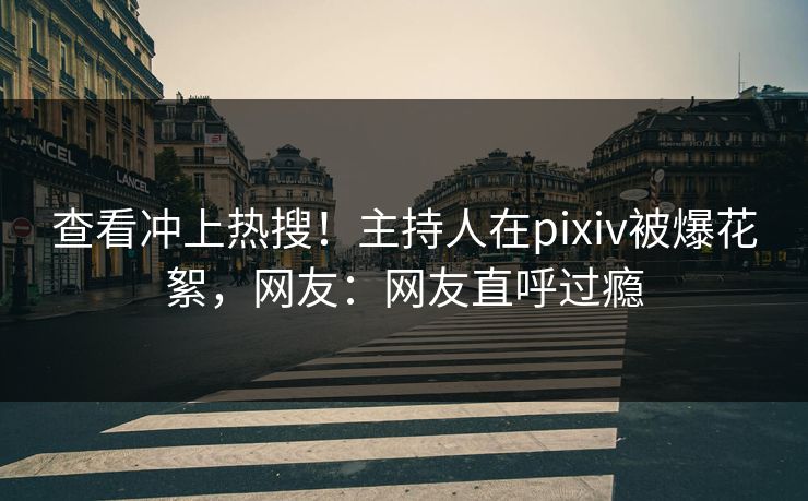 查看冲上热搜！主持人在pixiv被爆花絮，网友：网友直呼过瘾