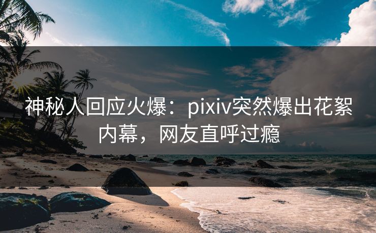 神秘人回应火爆：pixiv突然爆出花絮内幕，网友直呼过瘾