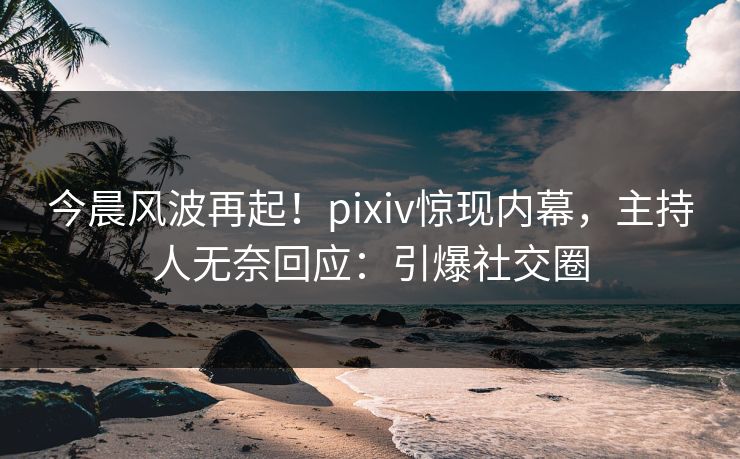 今晨风波再起！pixiv惊现内幕，主持人无奈回应：引爆社交圈
