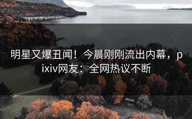明星又爆丑闻！今晨刚刚流出内幕，pixiv网友：全网热议不断