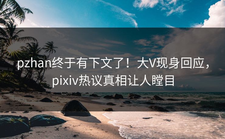pzhan终于有下文了！大V现身回应，pixiv热议真相让人瞠目
