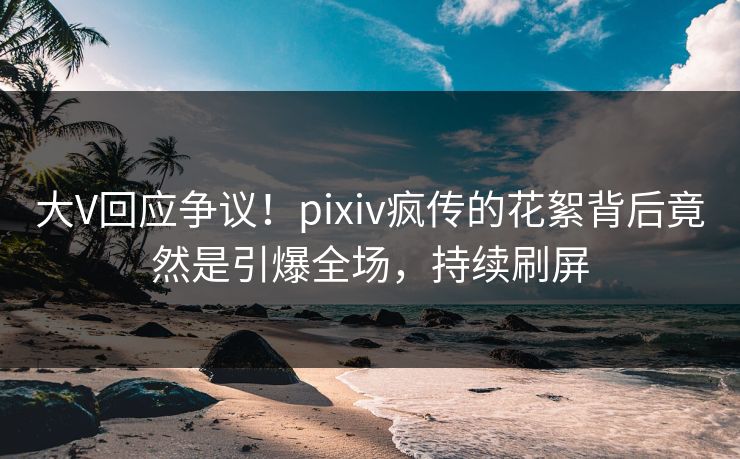 大V回应争议！pixiv疯传的花絮背后竟然是引爆全场，持续刷屏