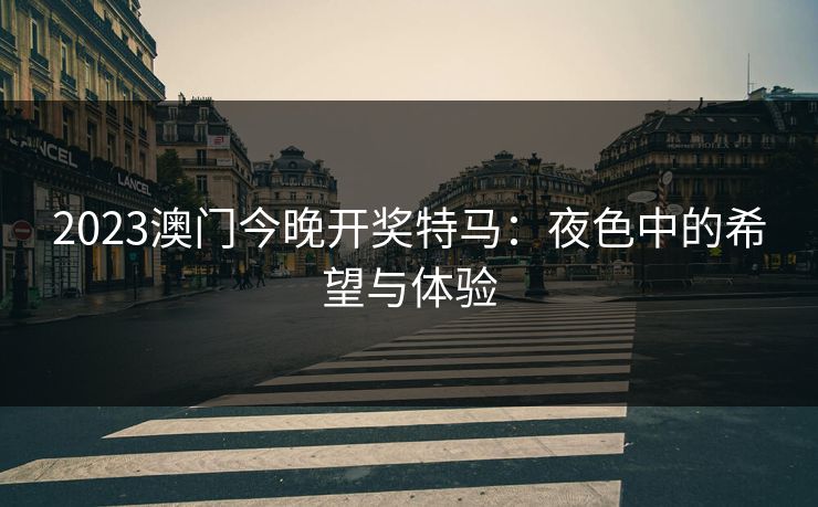 2023澳门今晚开奖特马：夜色中的希望与体验