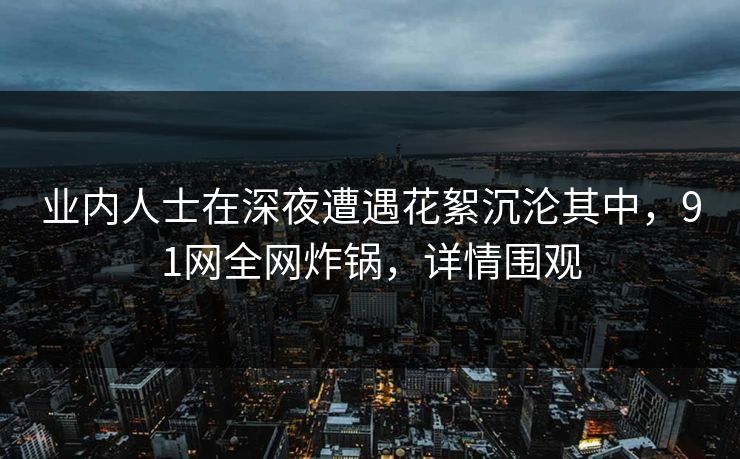 业内人士在深夜遭遇花絮沉沦其中，91网全网炸锅，详情围观