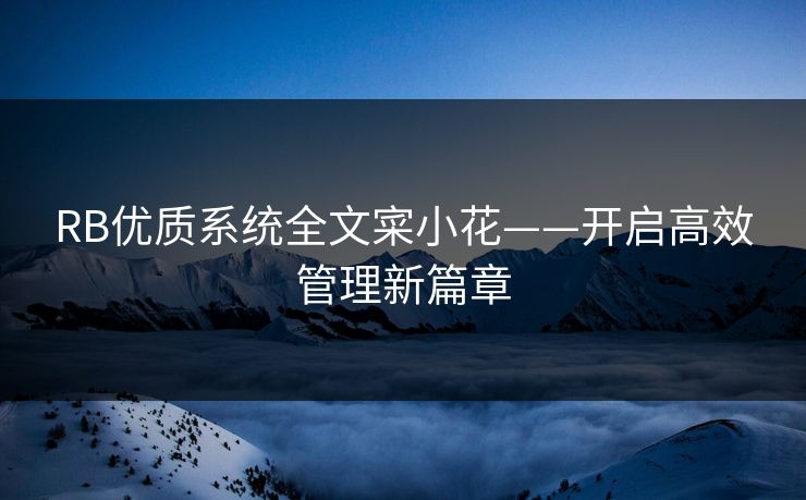 RB优质系统全文寀小花——开启高效管理新篇章