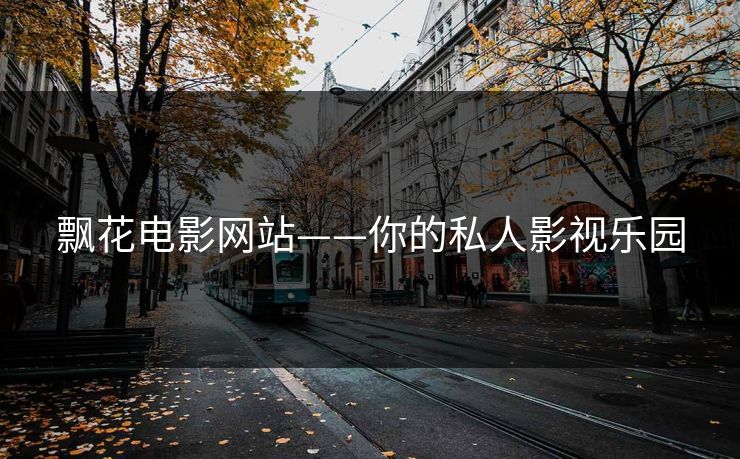 飘花电影网站——你的私人影视乐园