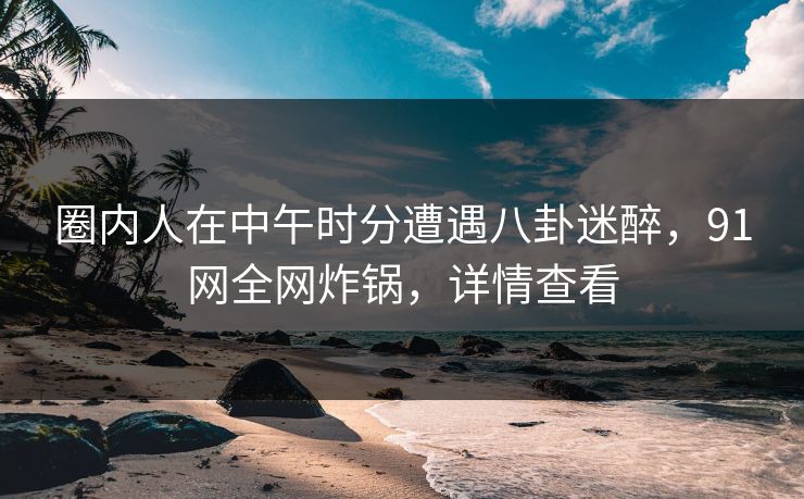圈内人在中午时分遭遇八卦迷醉，91网全网炸锅，详情查看