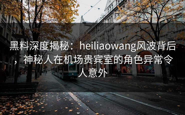 黑料深度揭秘：heiliaowang风波背后，神秘人在机场贵宾室的角色异常令人意外