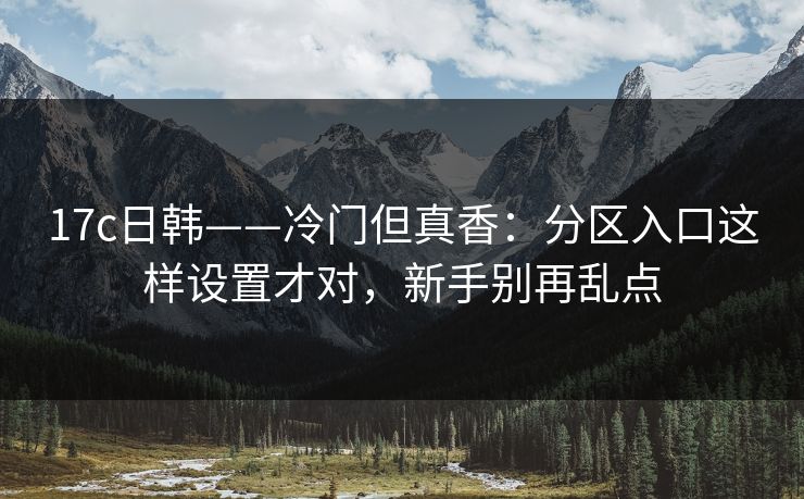 17c日韩——冷门但真香：分区入口这样设置才对，新手别再乱点